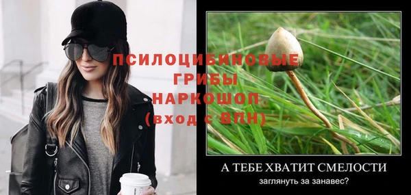эйфоретик Володарск