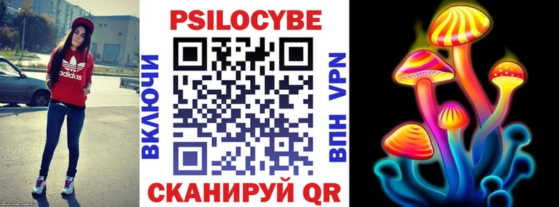 MEGA сайт сколько стоит Вичуга Псилоцибиновые грибы Psilocybe